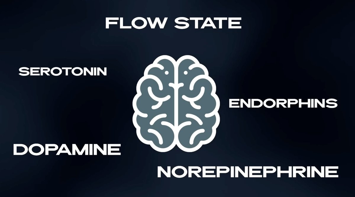 Brain diagram showing four key neurotransmitters active during the flow state: Serotonin, Dopamine, Endorphins, and Norepinephrine